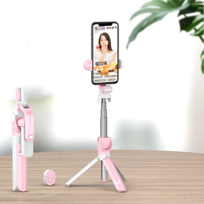 Selfie stick mobile phone live support