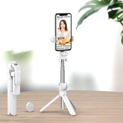 Selfie stick mobile phone live support