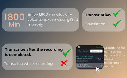AI Voice Recorder transcription  Translation Summary