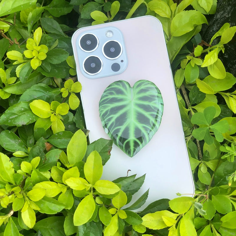 Cute Green Leaves Smartphone Holder Finger Stand