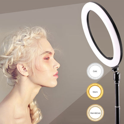 Phone Live Ring Light 10 Inch 26cm LED Video